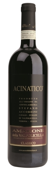 Amarone Acinatico Stefano Accordini 2016